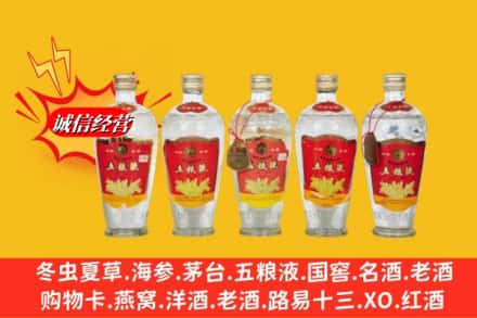 玉树州回收老五粮液