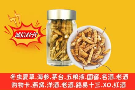 玉树州回收散虫草